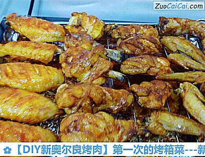 -新奥尔良烤鸡翅做法第九步骤