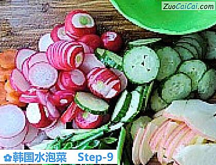 韩国水泡菜做法第九步骤