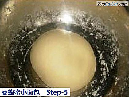 蜂蜜小面包做法第五步骤