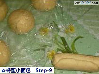 蜂蜜小面包做法第九步骤