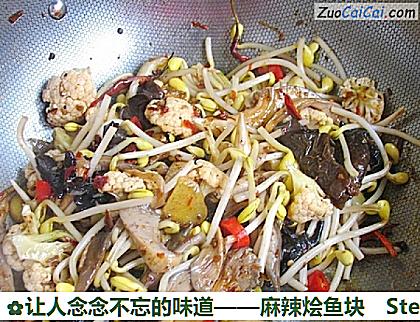 让人念念不忘的味道——麻辣烩鱼块做法第十五步骤