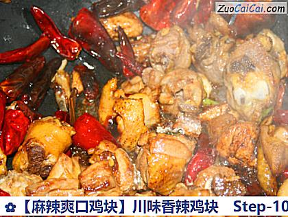 ［麻辣爽口鸡块］川味香辣鸡块做法第十步骤