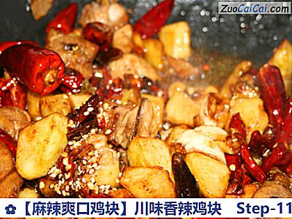 ［麻辣爽口鸡块］川味香辣鸡块做法第十一步骤