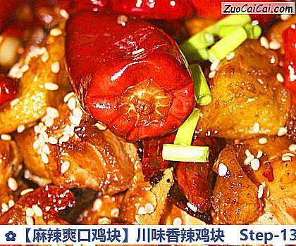 ［麻辣爽口鸡块］川味香辣鸡块做法第十三步骤