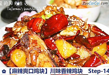 ［麻辣爽口鸡块］川味香辣鸡块做法第十四步骤