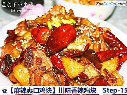 ［麻辣爽口鸡块］川味香辣鸡块做法第十五步骤