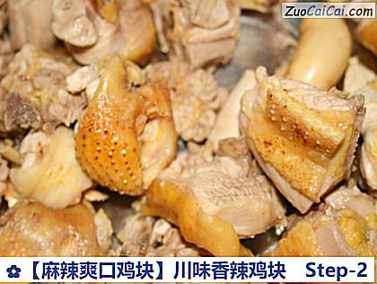 ［麻辣爽口鸡块］川味香辣鸡块做法第二步骤