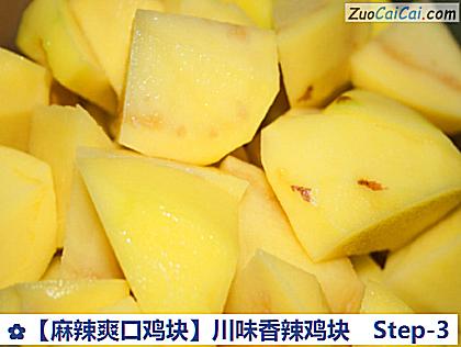［麻辣爽口鸡块］川味香辣鸡块做法第三步骤