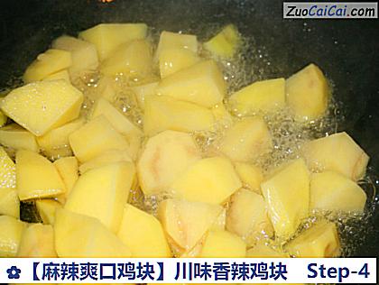 ［麻辣爽口鸡块］川味香辣鸡块做法第四步骤