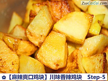 ［麻辣爽口鸡块］川味香辣鸡块做法第五步骤