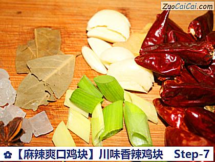 ［麻辣爽口鸡块］川味香辣鸡块做法第七步骤