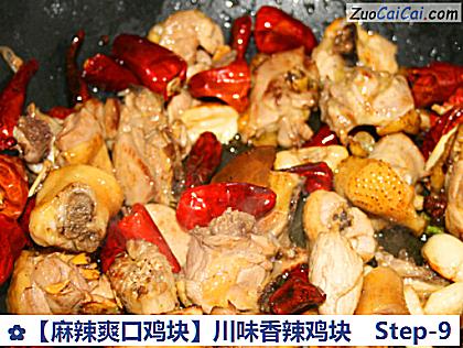 ［麻辣爽口鸡块］川味香辣鸡块做法第九步骤