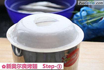 新奥尔良烤翅做法第三步骤