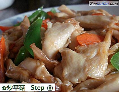 炒平菇做法第八步骤