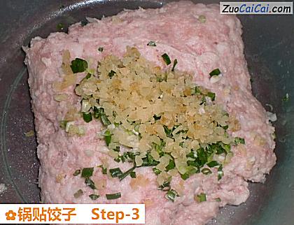 锅贴饺子做法第三步骤