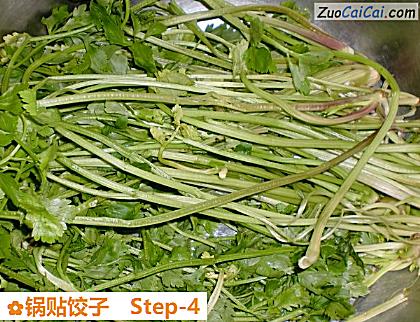 锅贴饺子做法第四步骤