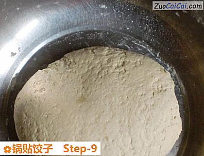 锅贴饺子做法第九步骤