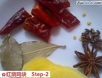 红烧鸡块做法第二步骤