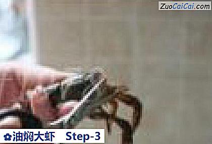 油焖大虾做法第三步骤