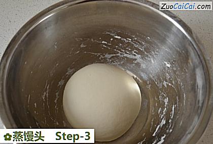 蒸馒头做法第三步骤