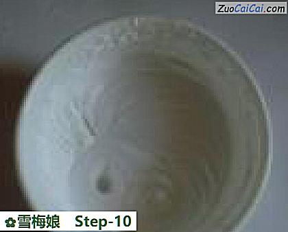 雪梅娘做法第十步骤