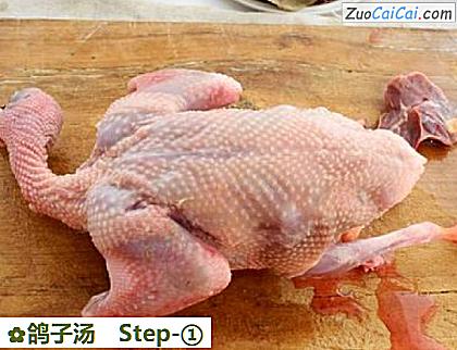 鸽子汤做法第一步骤