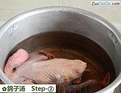 鸽子汤做法第二步骤