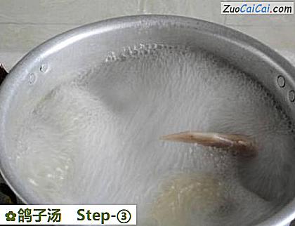 鸽子汤做法第三步骤