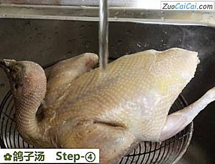 鸽子汤做法第四步骤