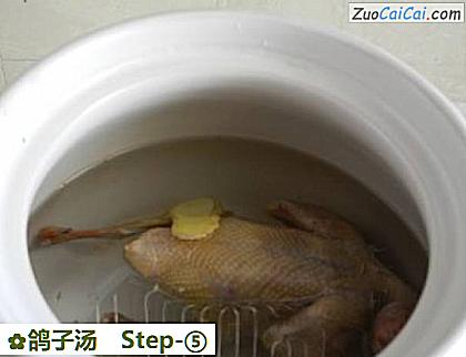 鸽子汤做法第五步骤