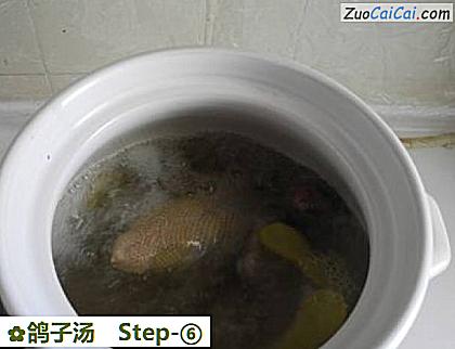 鸽子汤做法第六步骤