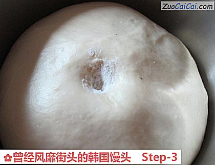 曾经风靡街头的韩国馒头做法第三步骤