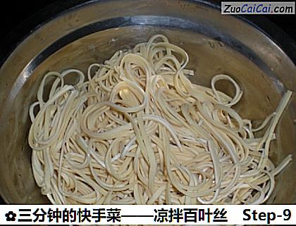 三分钟的快手菜——凉拌百叶丝做法第九步骤