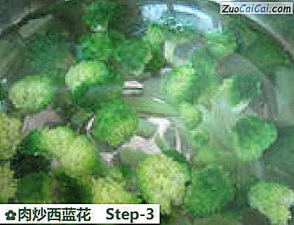 肉炒西蓝花做法第三步骤