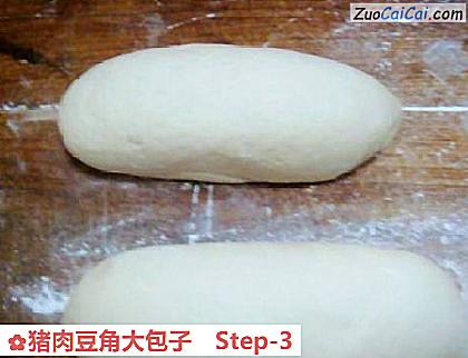 猪肉豆角大包子做法第三步骤