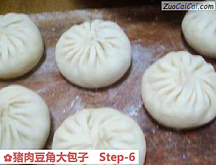 猪肉豆角大包子做法第六步骤