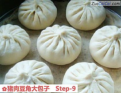 猪肉豆角大包子做法第九步骤
