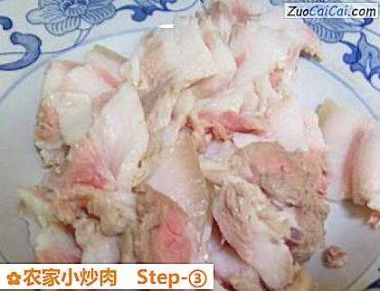 农家小炒肉做法第三步骤