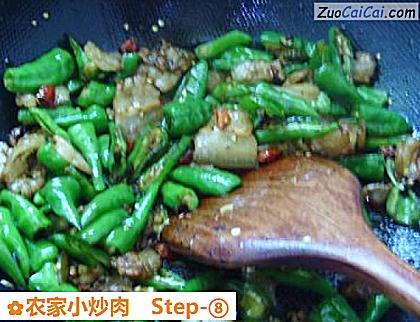 农家小炒肉做法第八步骤