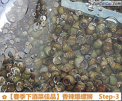 ［春季下酒菜佳品］香辣爆螺狮做法第三步骤
