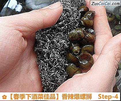 ［春季下酒菜佳品］香辣爆螺狮做法第四步骤