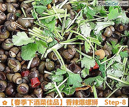 ［春季下酒菜佳品］香辣爆螺狮做法第八步骤