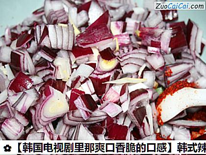 韩式辣萝卜块做法第十步骤