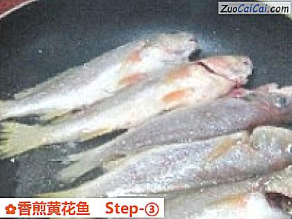 香煎黄花鱼做法第三步骤
