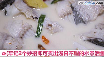 水煮活鱼成品图1