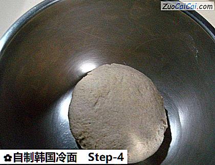 自制韩国冷面做法第四步骤