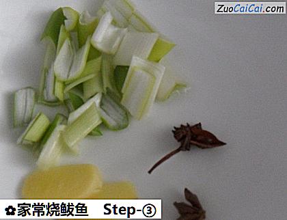 家常烧鲅鱼做法第三步骤