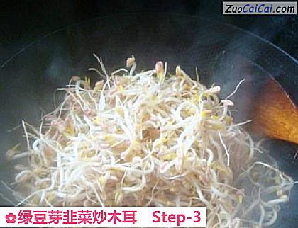 绿豆芽韭菜炒木耳做法第三步骤