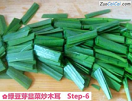绿豆芽韭菜炒木耳做法第六步骤