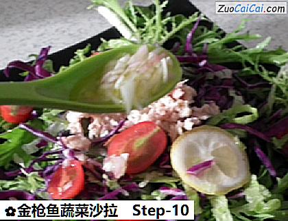 金枪鱼蔬菜沙拉成品图1